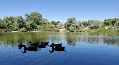 Steed Park — Hyde Beauty Essentials, Ogden UT